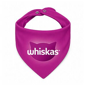 Bandana Personalizada Pet