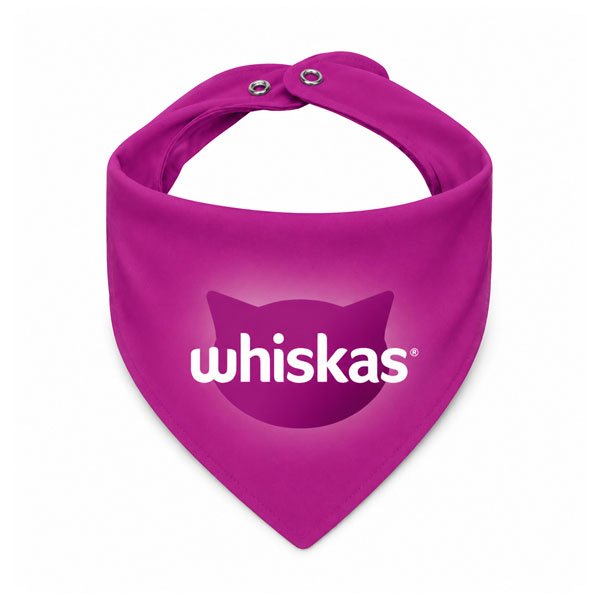 Bandana Personalizada Pet